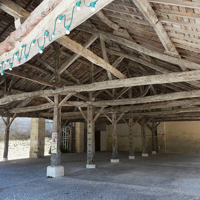 Photo de Château de La Tour-Blanche en Dordogne